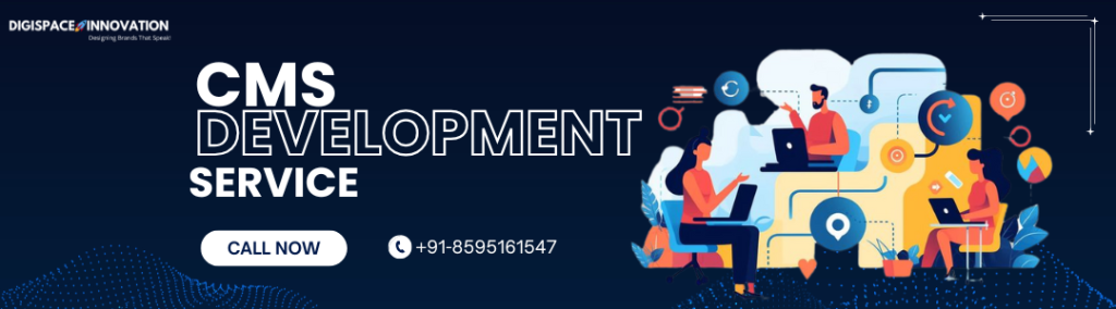Best CMS development services in Faridabad