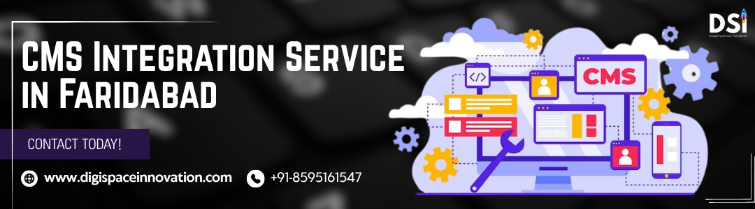 CMS Integration Service in Faridabad