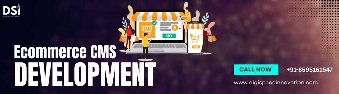 Ecommerce CMS Development Service in Faridabad