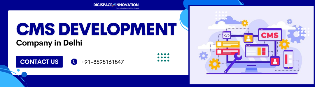 CMS Development Company in Delhi