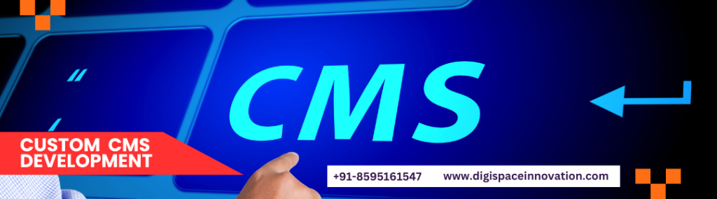 Custom CMS Development Company in Faridabad